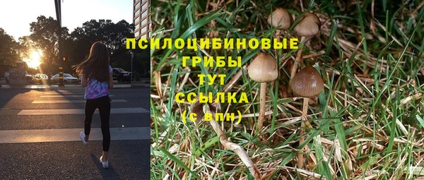 гидропоника Алексин