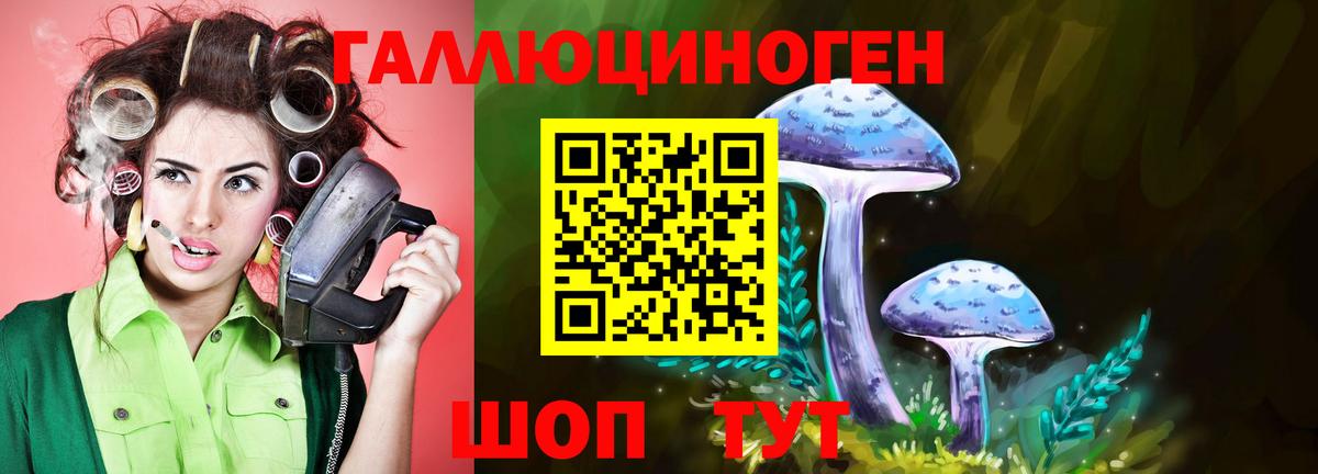 купить наркотики цена  Псилоцибиновые грибы мухоморы  Псилоцибиновые грибы GOLDEN TEACHER  Вход с VPN  Тюмень 